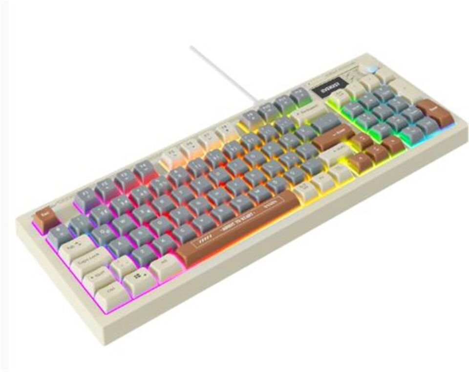 Everest KB-79 SILENT PRO Gri Mavi-Gri-Kahve SESSİZ RGB Q Membrane Oyuncu Klavyesi