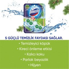 Domestos 5'li Güç Çam Ferahlığı Wc Blok 55 GR