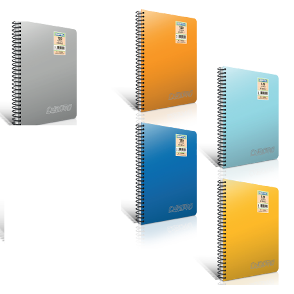 Gıpta Spiralli Defter Chromo Plastik Kapak Çizgisiz 80 YP A4 1339