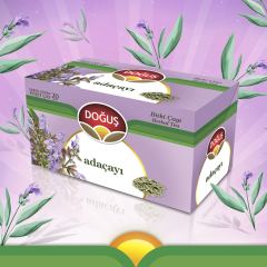 Doğuş Adaçayı