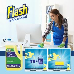 Flash Professional No:5 Ağır Kir ve Yağ Sökücü 5 Lt