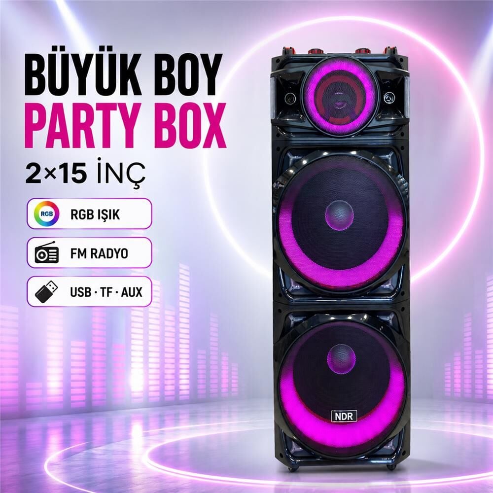 NDR NDR1526 Çift Karaoke Mikrofonlu Bluetooth Hoparlör FM Radyo 100W 2x15 İnç RGB Kumandalı Siyah