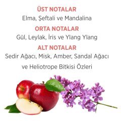 Emotion Romance EDT Parfüm 50ml + Deodorant 150ml