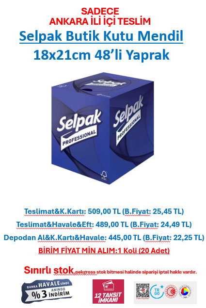 Selpak Butik Kutu Mendil  18x21cm 48’li Yaprak t.01