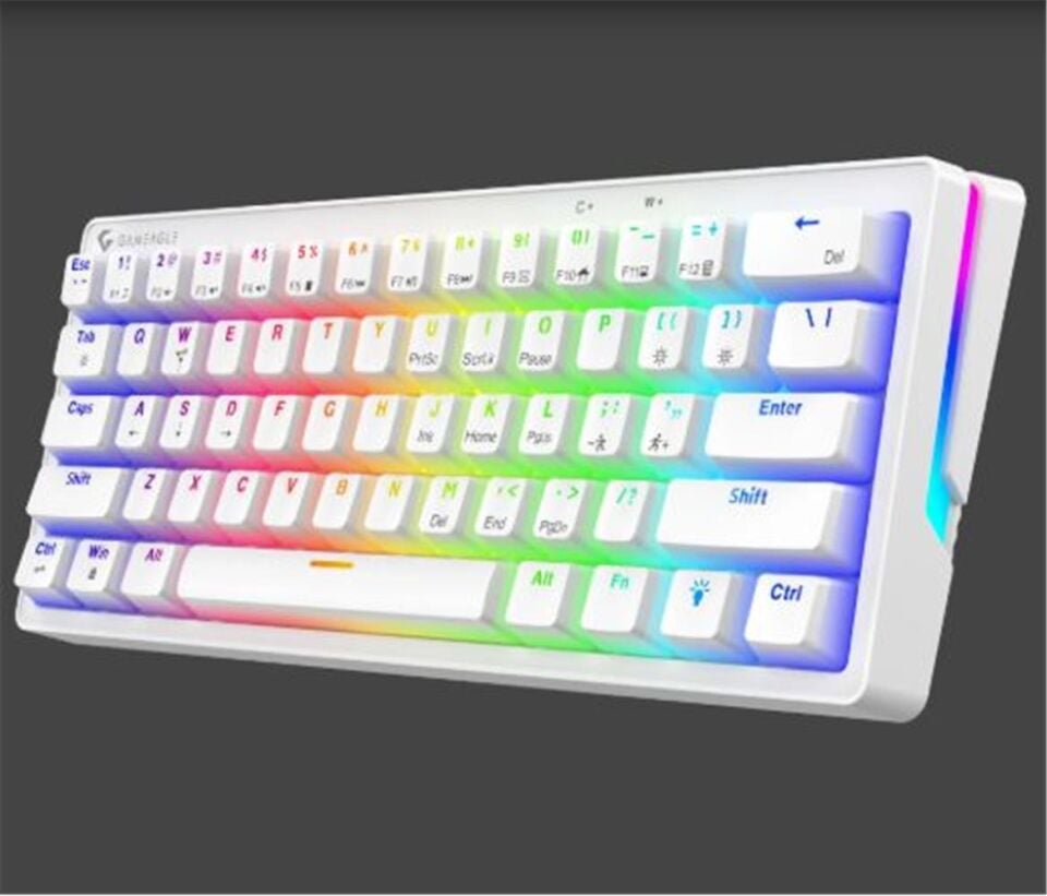 Gameagle GE2015 Poseıdon RGB Kablolu Us Layout Mekanik Beyaz Oyuncu Klavyesi