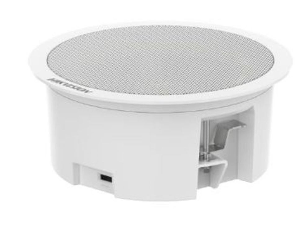 Hikvision DS-QAZ0203G1-S 3W Network Asma Tavan İkincil Hoparlörü