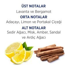 First Class EDT Parfüm 100 Ml + Deodorant 150 Ml