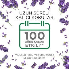 Air Wick Elektrikli Oda Kokusu Yedek Lavanta 19 Ml