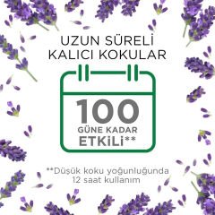 Air Wick Elektrikli Oda Kokusu Yedek Lavanta 19 Ml