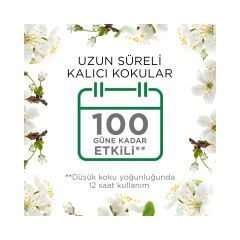 Air Wick Bahar Çiçeği 19 ml Elektrikli Yedek Oda Kokusu