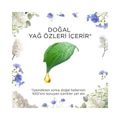 AirWick 19 ml Yedek Temizliğin Esintisi Elektrikli Oda Kokusu