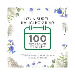 AirWick 19 ml Yedek Temizliğin Esintisi Elektrikli Oda Kokusu