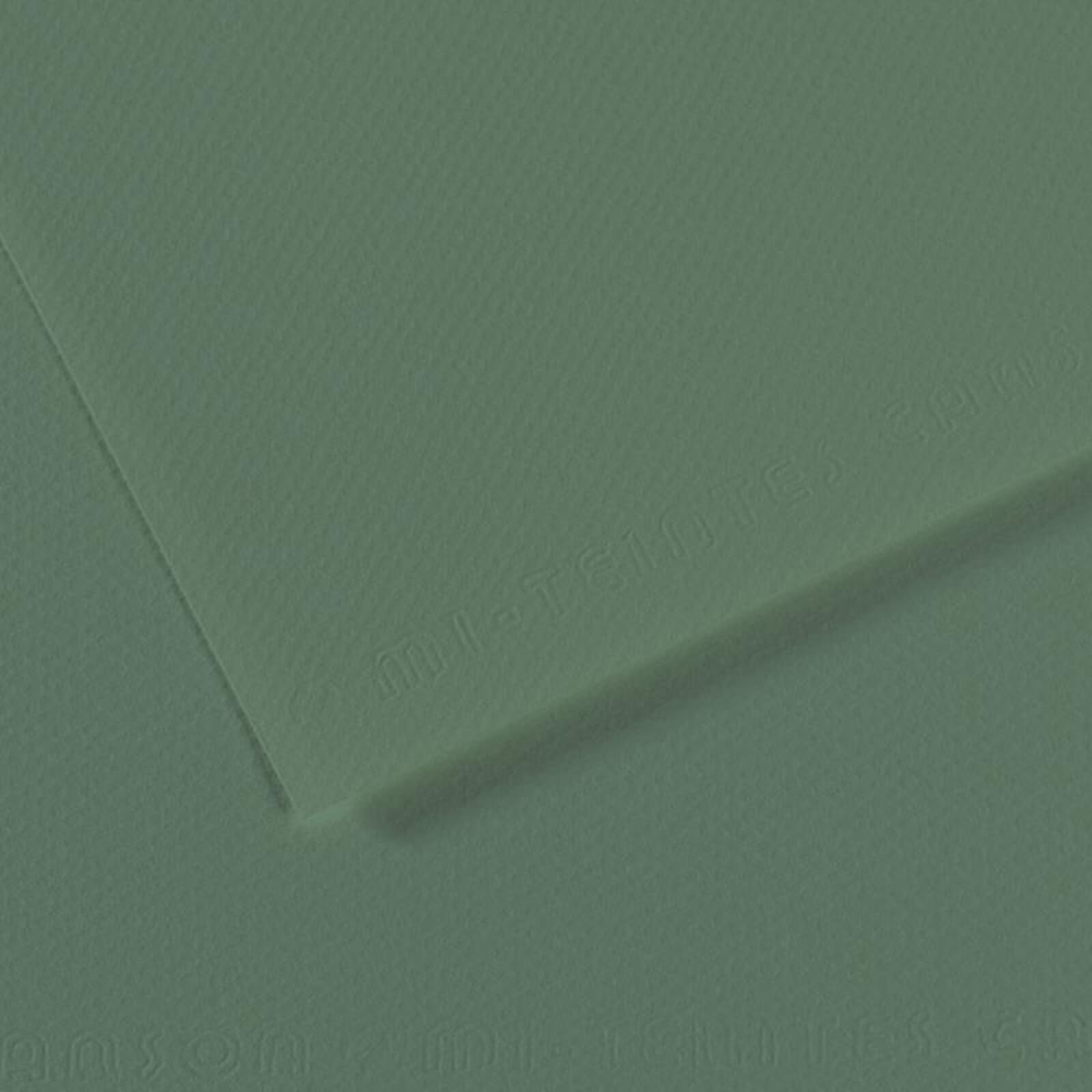 Canson Mi-Teintes 190 Sauge 50x65 cm 160 Gr Fon Kartonu
