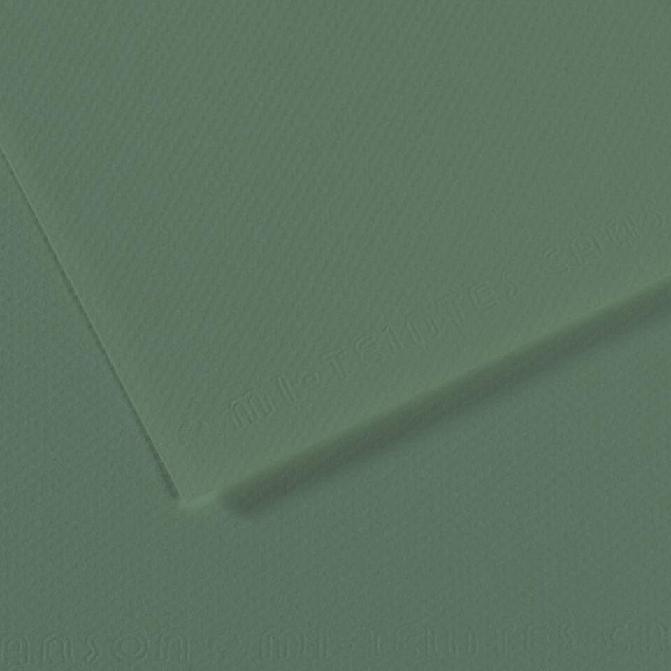 Canson Mi-Teintes 190 Sauge 50x65 cm 160 Gr Fon Kartonu