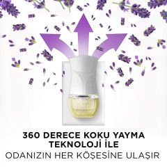 Air Wick Elektrikli Oda Kokusu Cihazı + Lavanta Yedek Şişe Oda Kokusu