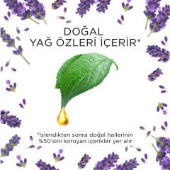 Air Wick Elektrikli Oda Kokusu Cihazı + Lavanta Yedek Şişe Oda Kokusu