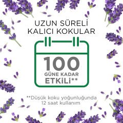 Air Wick Elektrikli Oda Kokusu Cihazı + Lavanta Yedek Şişe Oda Kokusu