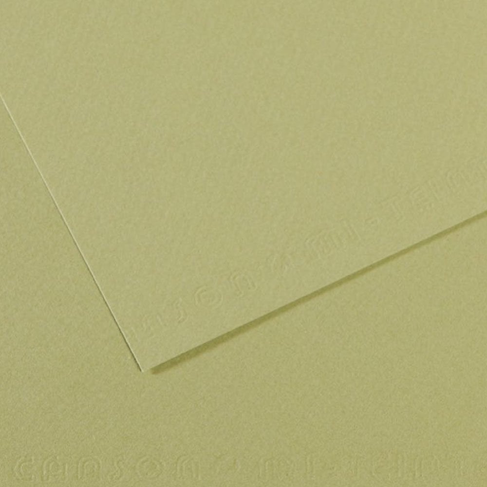 Canson Fon Kartonu (Dokulu) Mı-Teıntes Sh Canmt 50x65 160 GR Grn 480