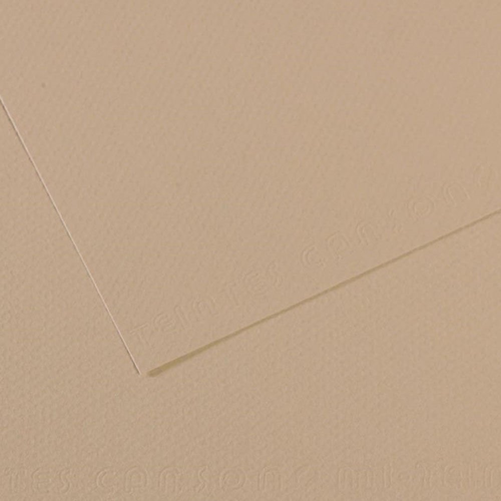 Canson Fon Kartonu (Dokulu) Mı-Teıntes 50x65 160 GR GREY 343