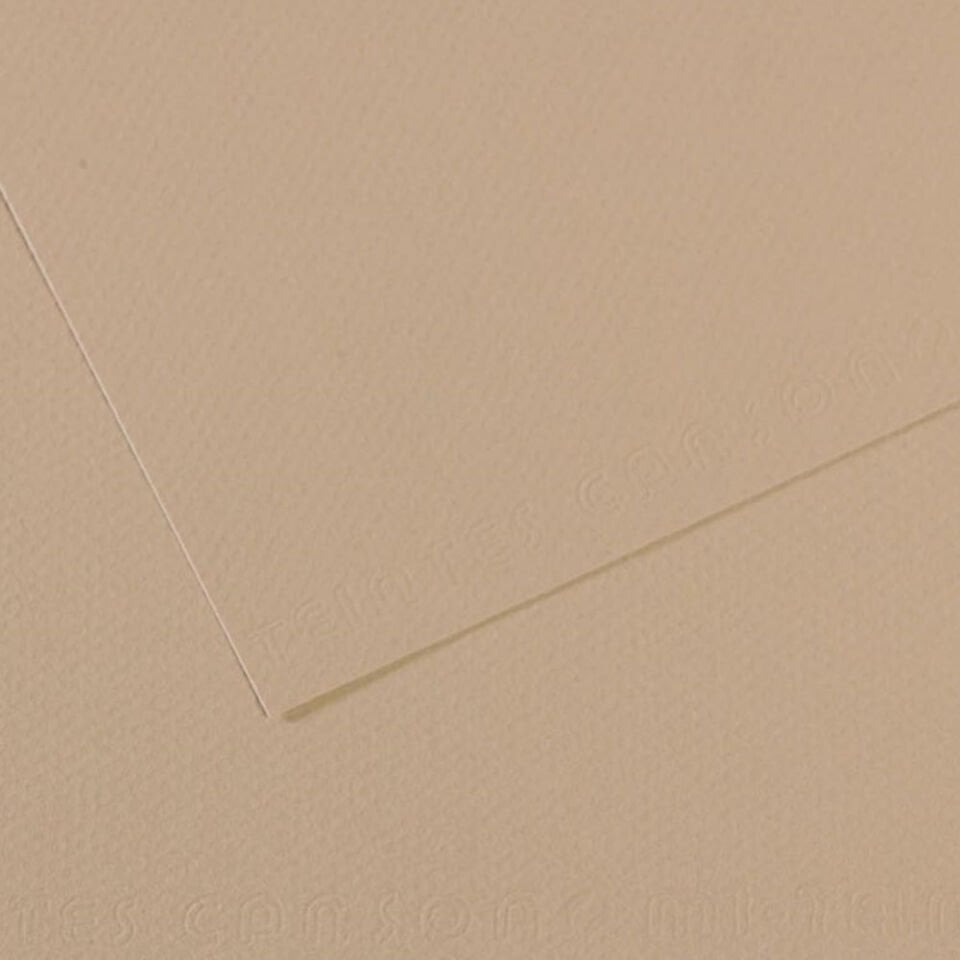 Canson Fon Kartonu (Dokulu) Mı-Teıntes 50x65 160 GR GREY 343