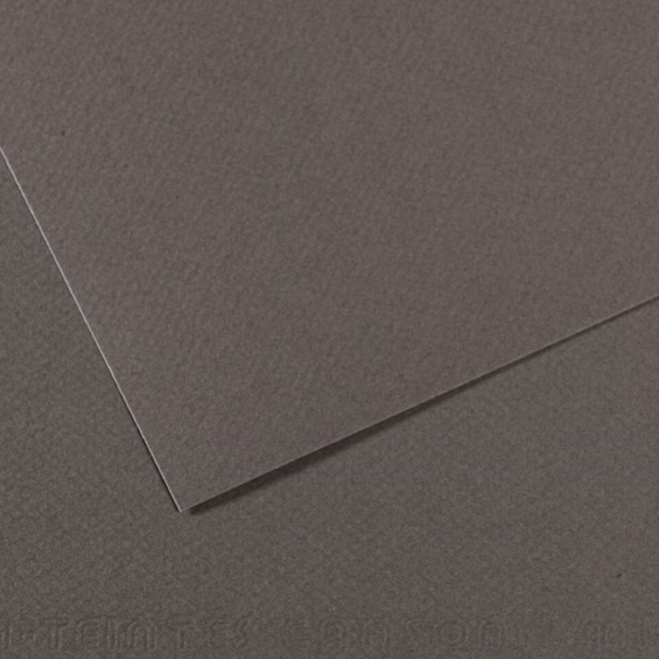 Canson Fon Kartonu (Dokulu) Mı-Teıntes Sh Canmt 50x65 160 GR Grey 345