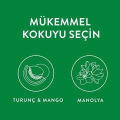 Airwick Deco Sphere Mango Ve Turunç Oda Kokusu 75 Ml