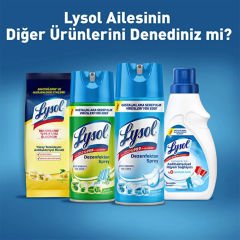 Lysol Antibakteriyel Çamaşır Makinesi Temizleyicisi 250 ml